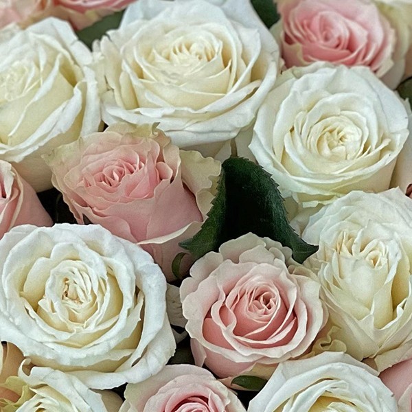 Aranjament Floral 40 Trandafiri - Roz si Alb | Fleurange.ro