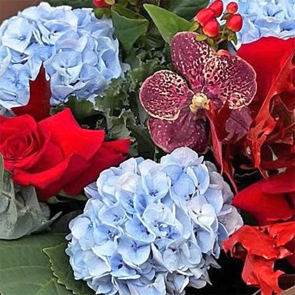 Buchet Hortensii Albastre si Trandafiri | Fleurange.ro